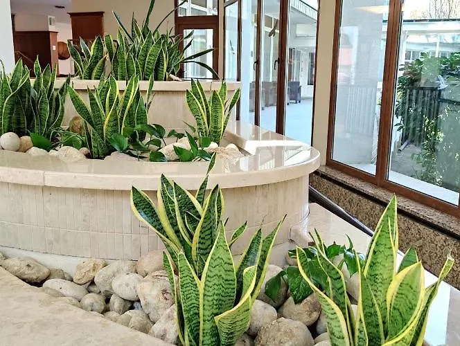 Apartment Carbona Siesta